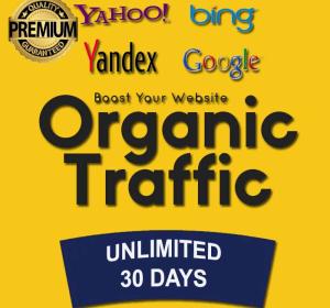 30 Days Non Stop Unlimited ORGANIC SEARCH ENGINES WEB TRAFFIC
